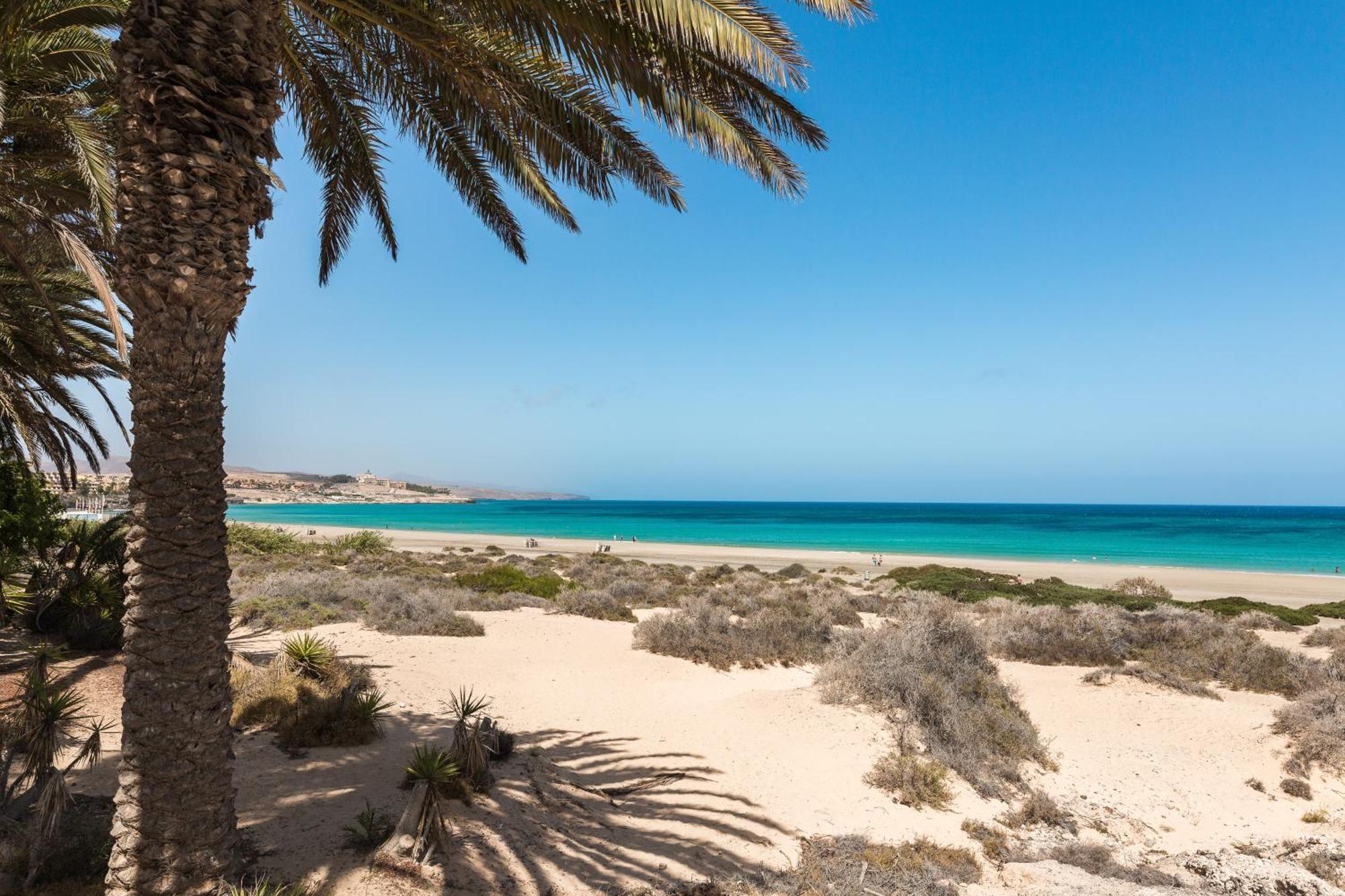Home2Book Sea View & Terrace Escape, Playa Paraiso Коста Калма Екстериор снимка